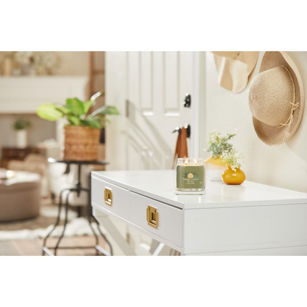 Yankee Candle Sage & Citrus Medium Jar Extra Image 1